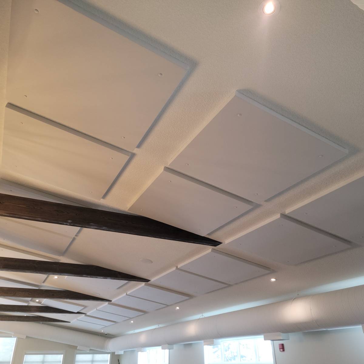Ceiling Acoustic Panels